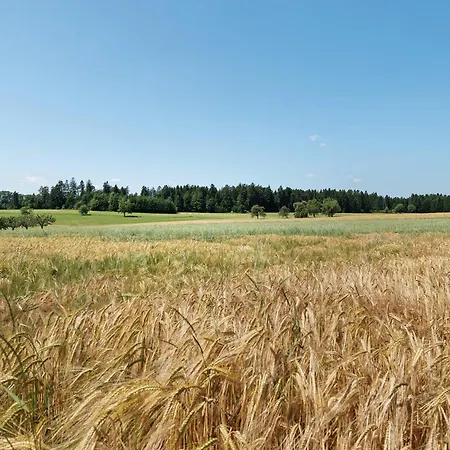 Hagen *